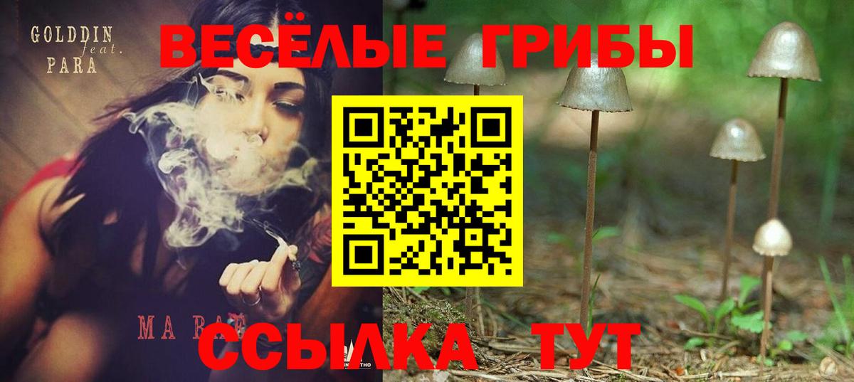Галлюциногенные грибы Cubensis  Вход с VPN  Галлюциногенные грибы MAGIC MUSHROOMS  Бугуруслан 